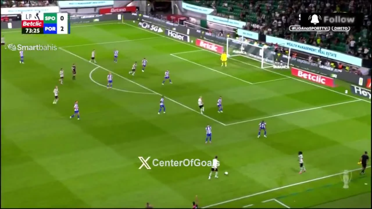 zaslepka skrotu video