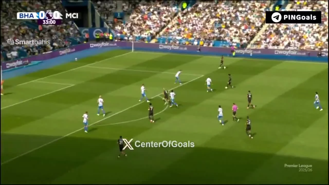zaslepka skrotu video