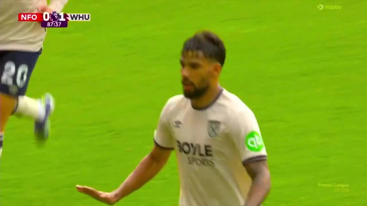 zaslepka skrotu video