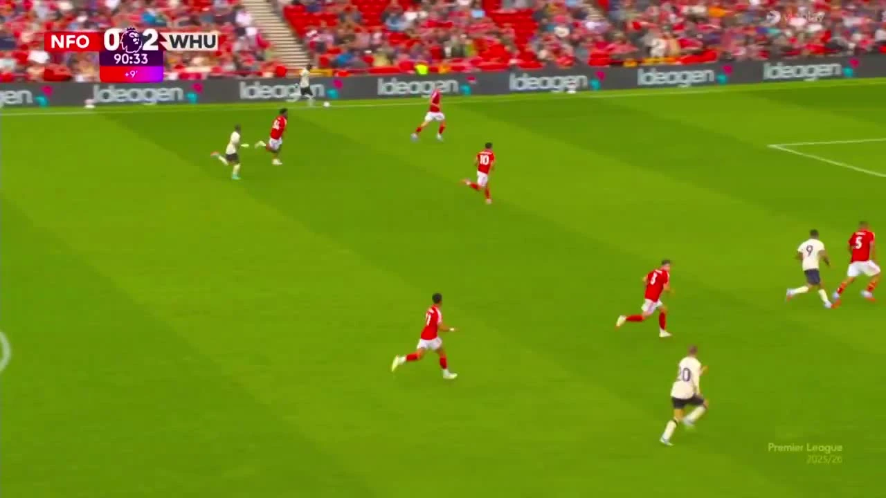zaslepka skrotu video