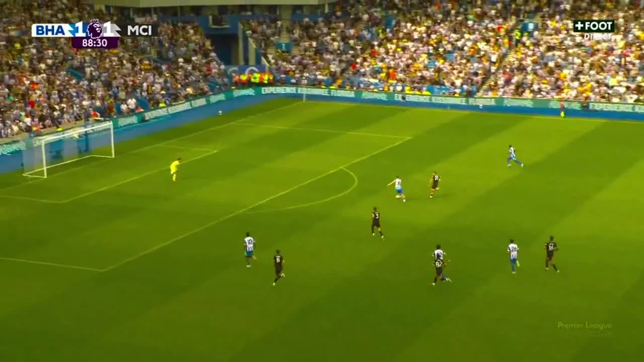 zaslepka skrotu video