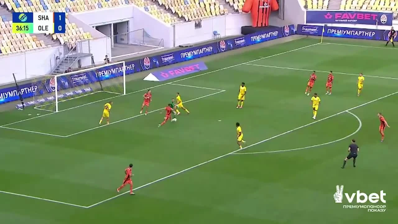 zaslepka skrotu video