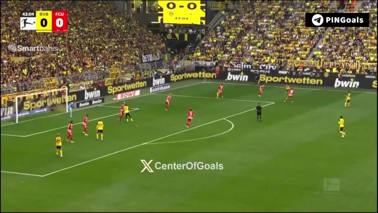 zaslepka skrotu video