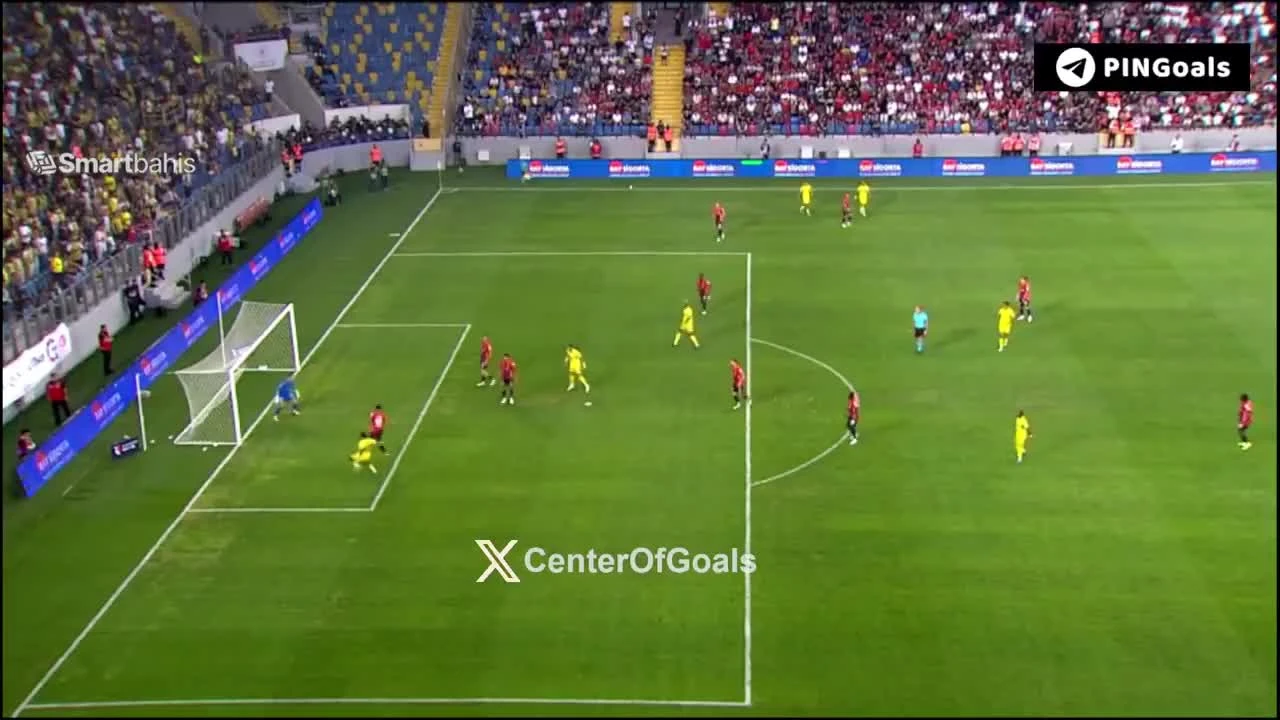 zaslepka skrotu video