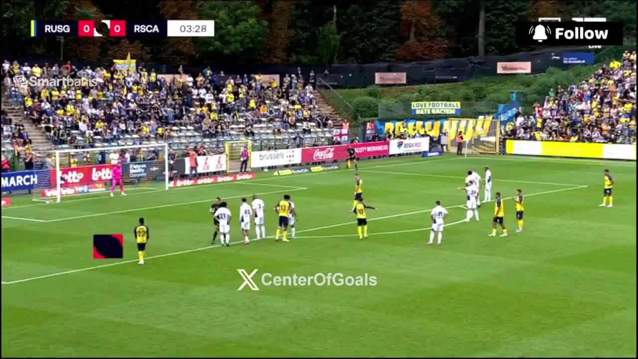 zaslepka skrotu video