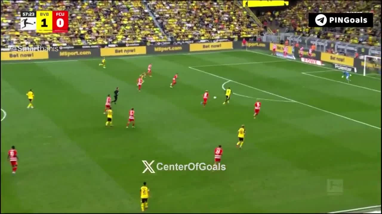zaslepka skrotu video