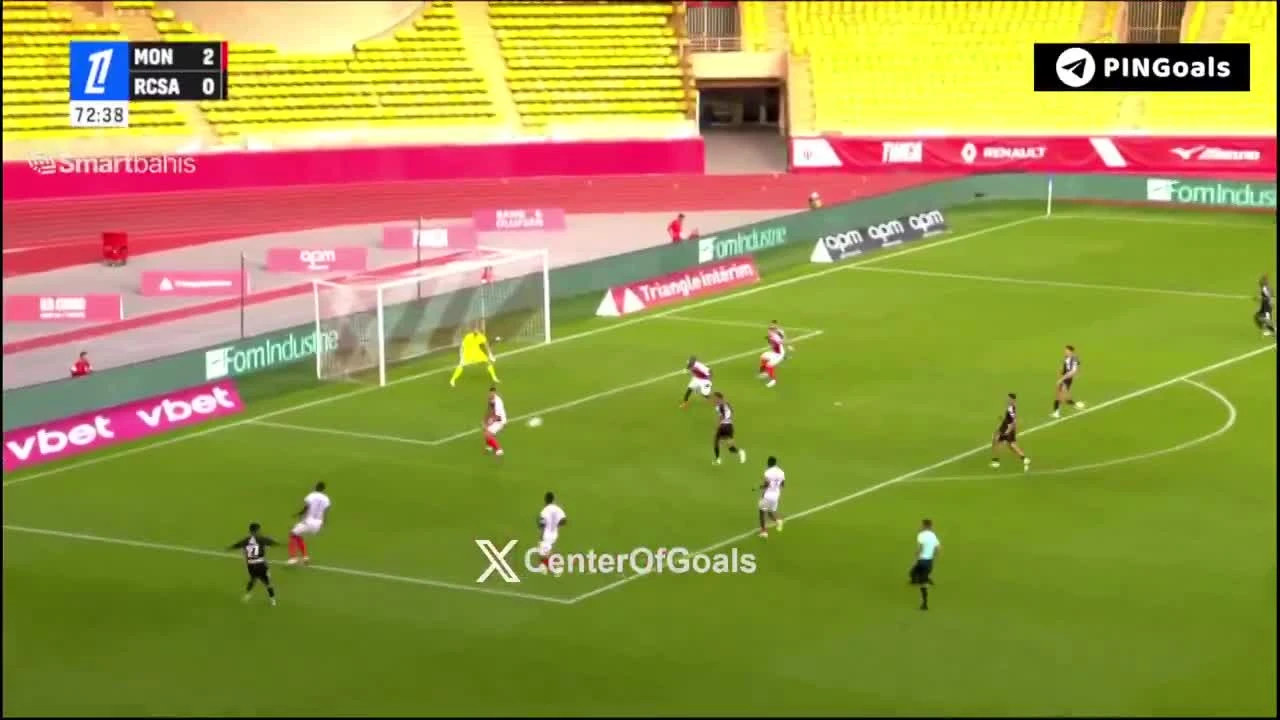 zaslepka skrotu video
