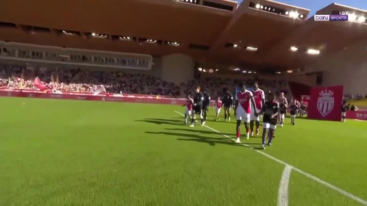 zaslepka skrotu video