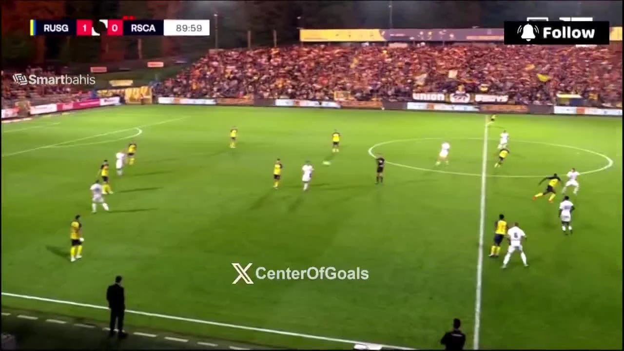 zaslepka skrotu video