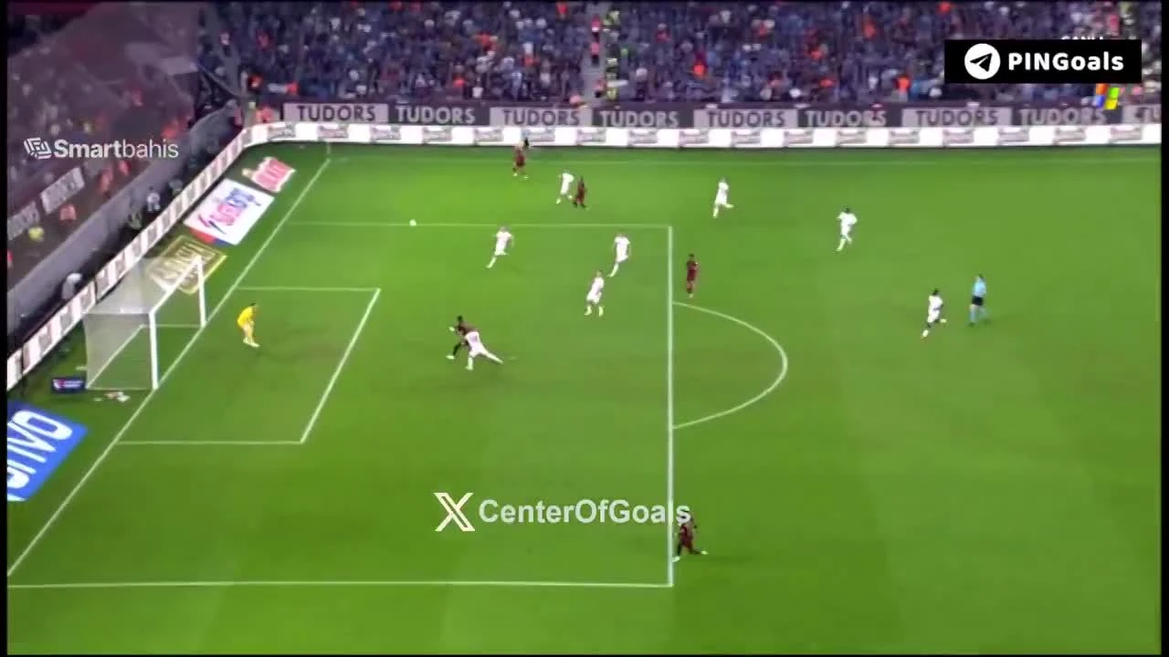 zaslepka skrotu video