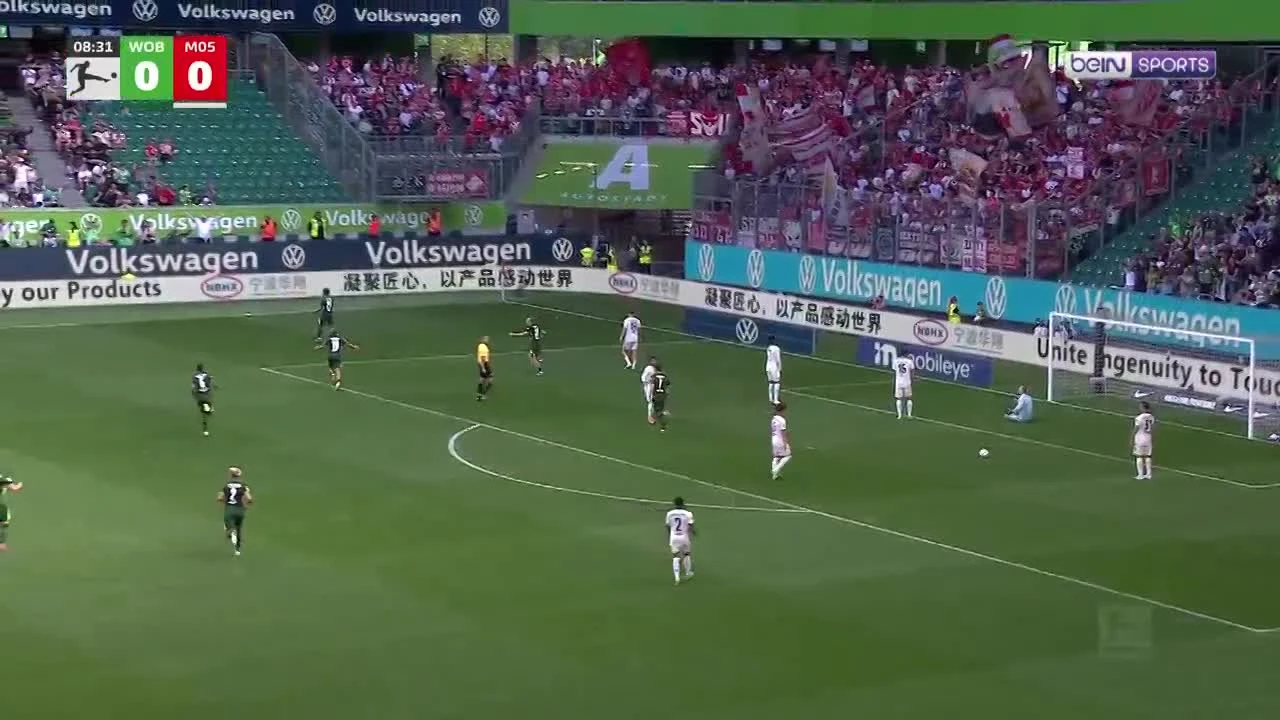 zaslepka skrotu video