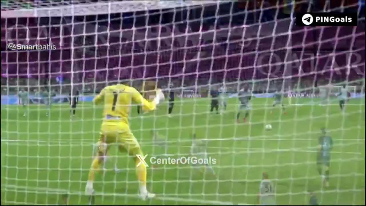 zaslepka skrotu video
