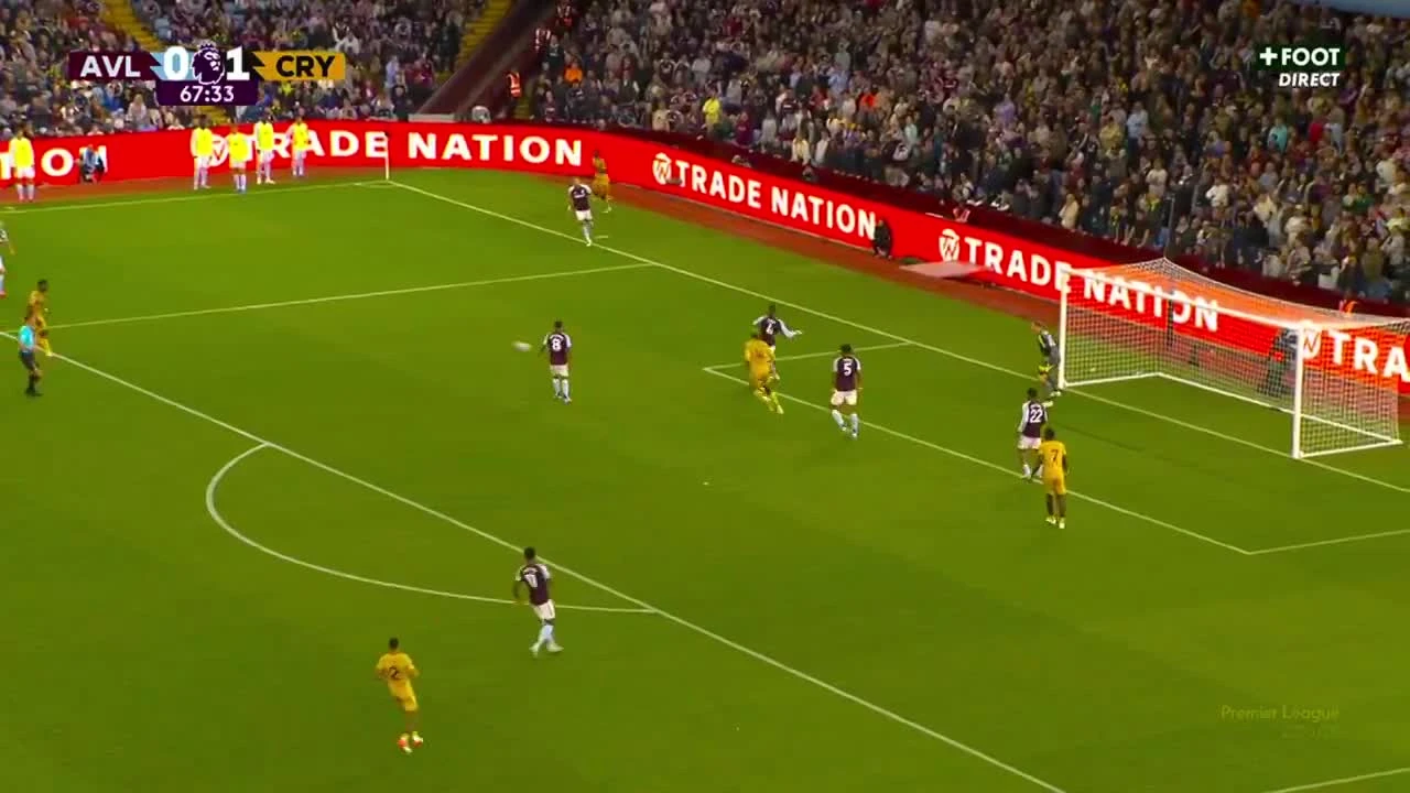 zaslepka skrotu video
