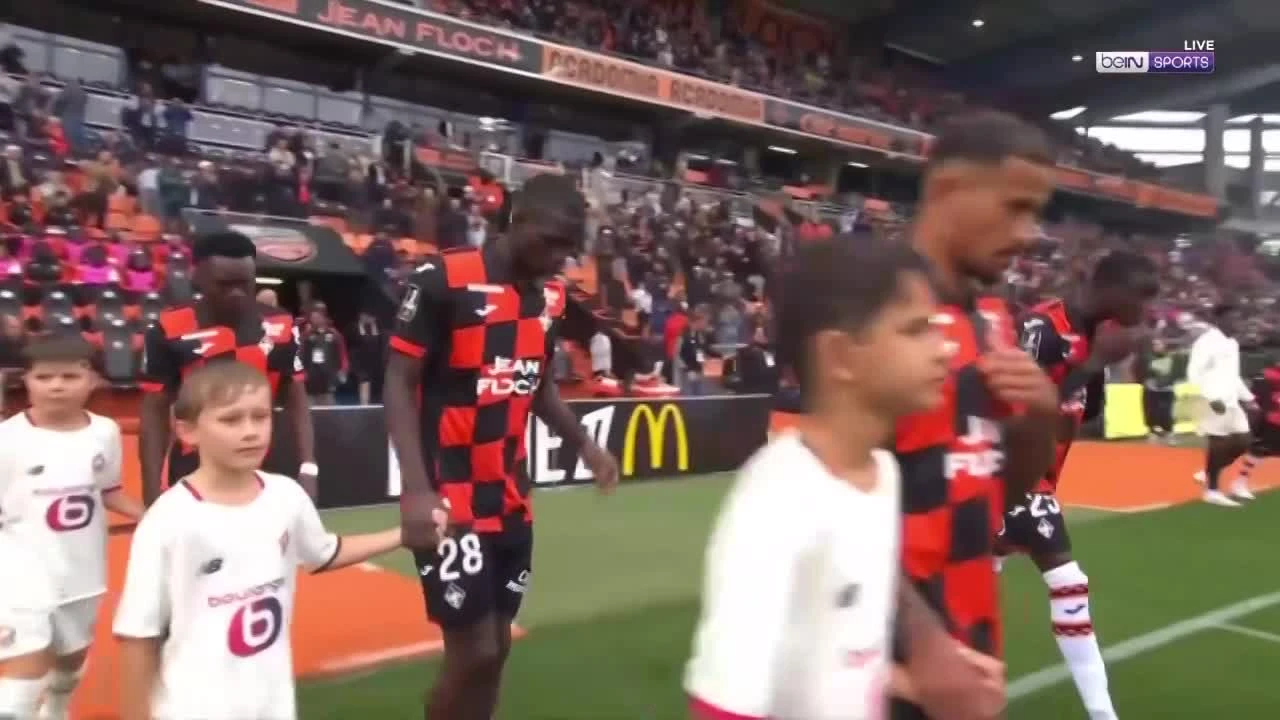 zaslepka skrotu video