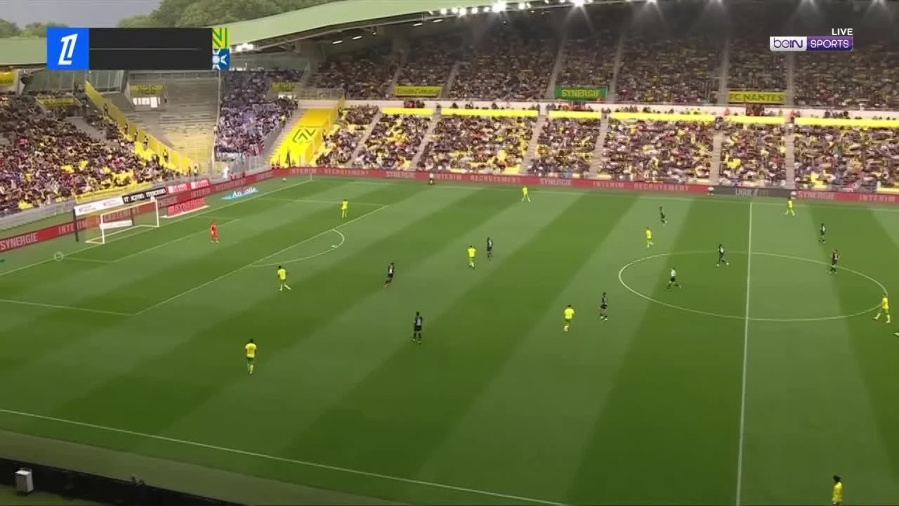 zaslepka skrotu video