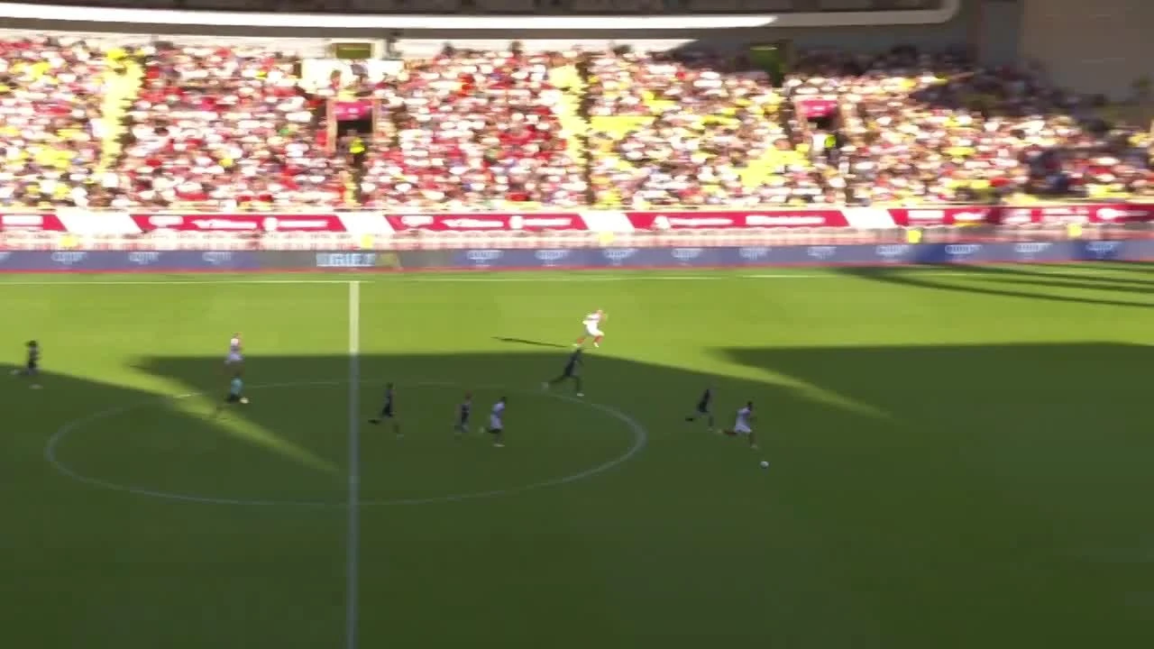 zaslepka skrotu video