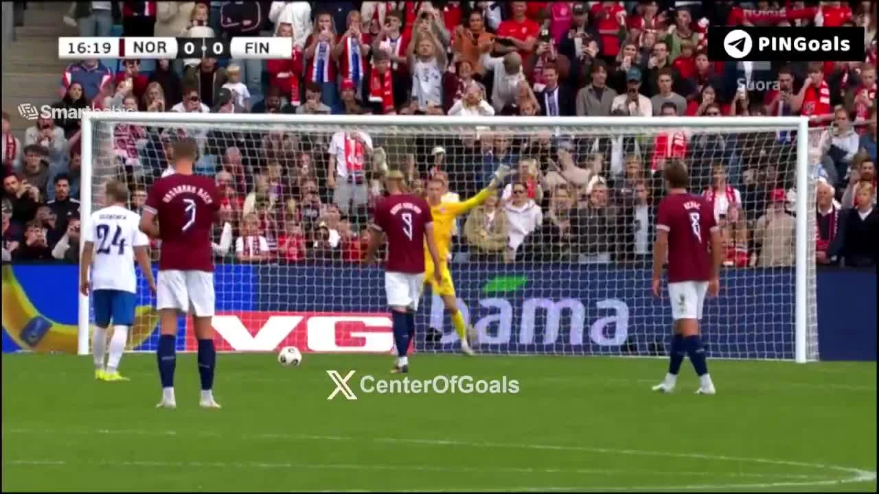 zaslepka skrotu video