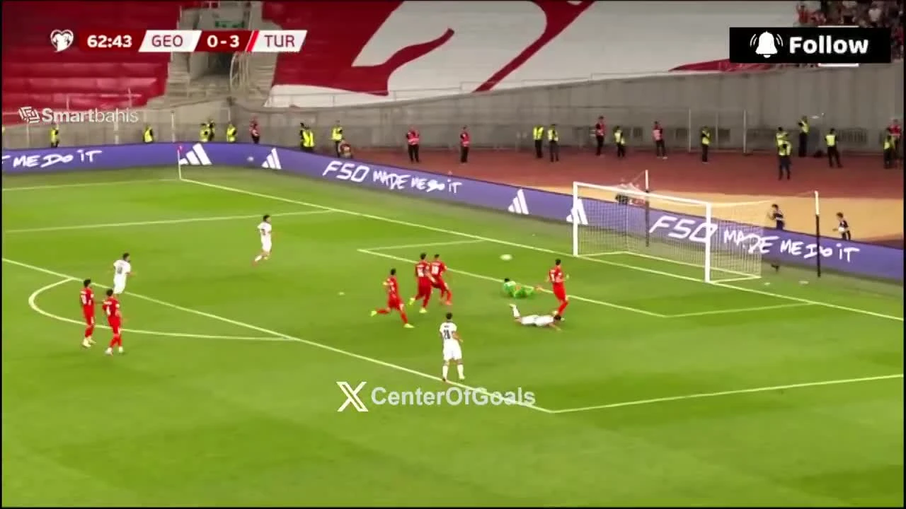 zaslepka skrotu video