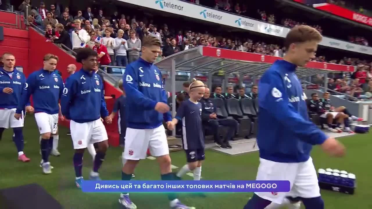 zaslepka skrotu video