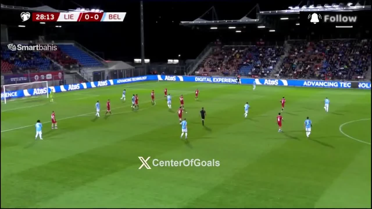 zaslepka skrotu video