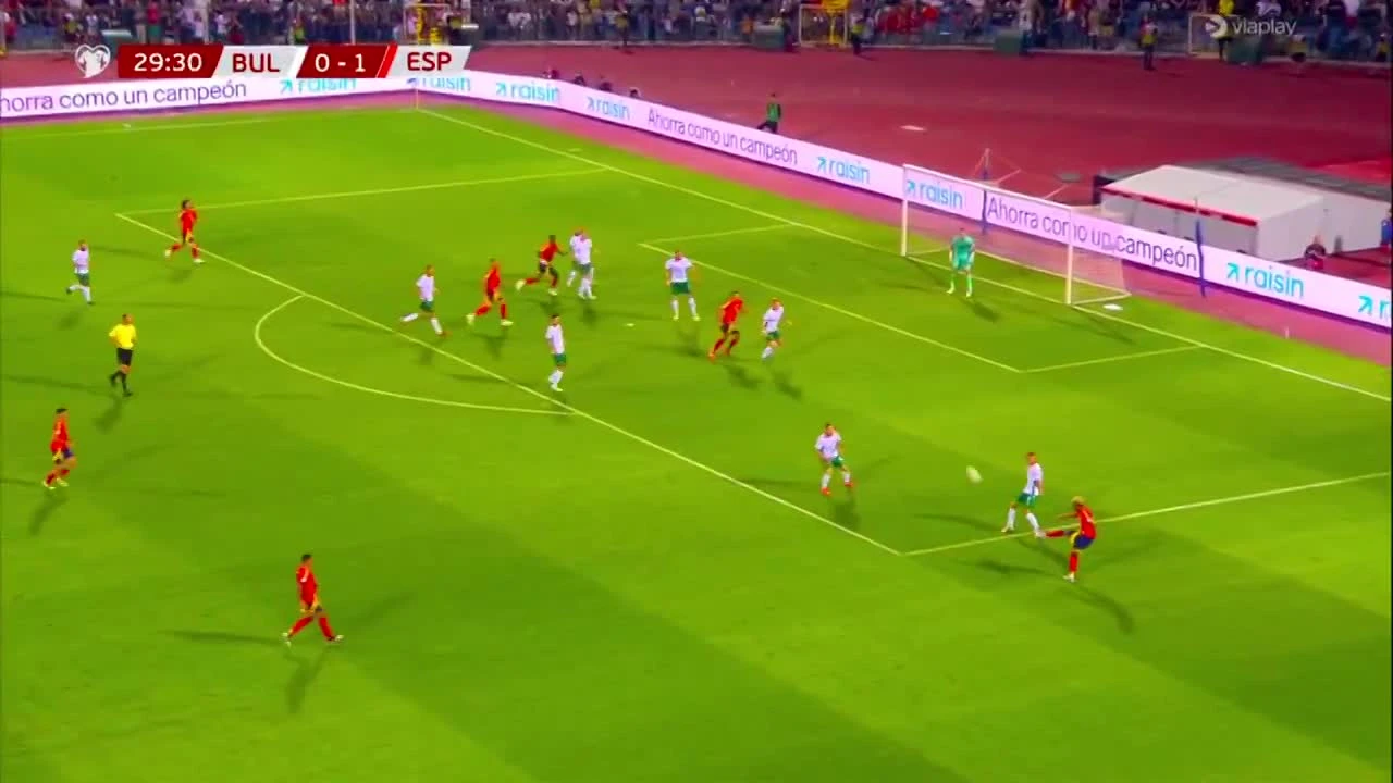 zaslepka skrotu video