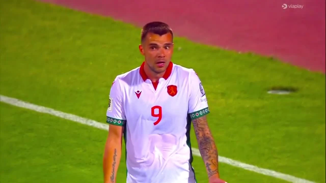 zaslepka skrotu video