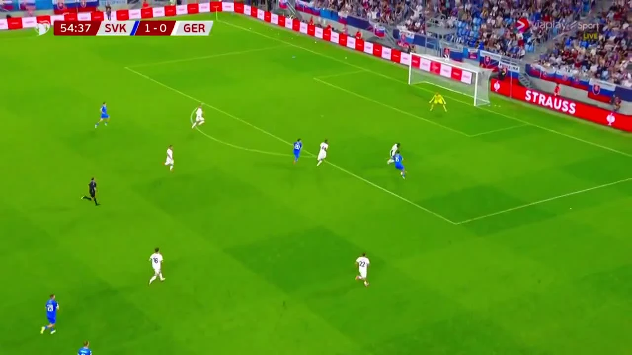 zaslepka skrotu video