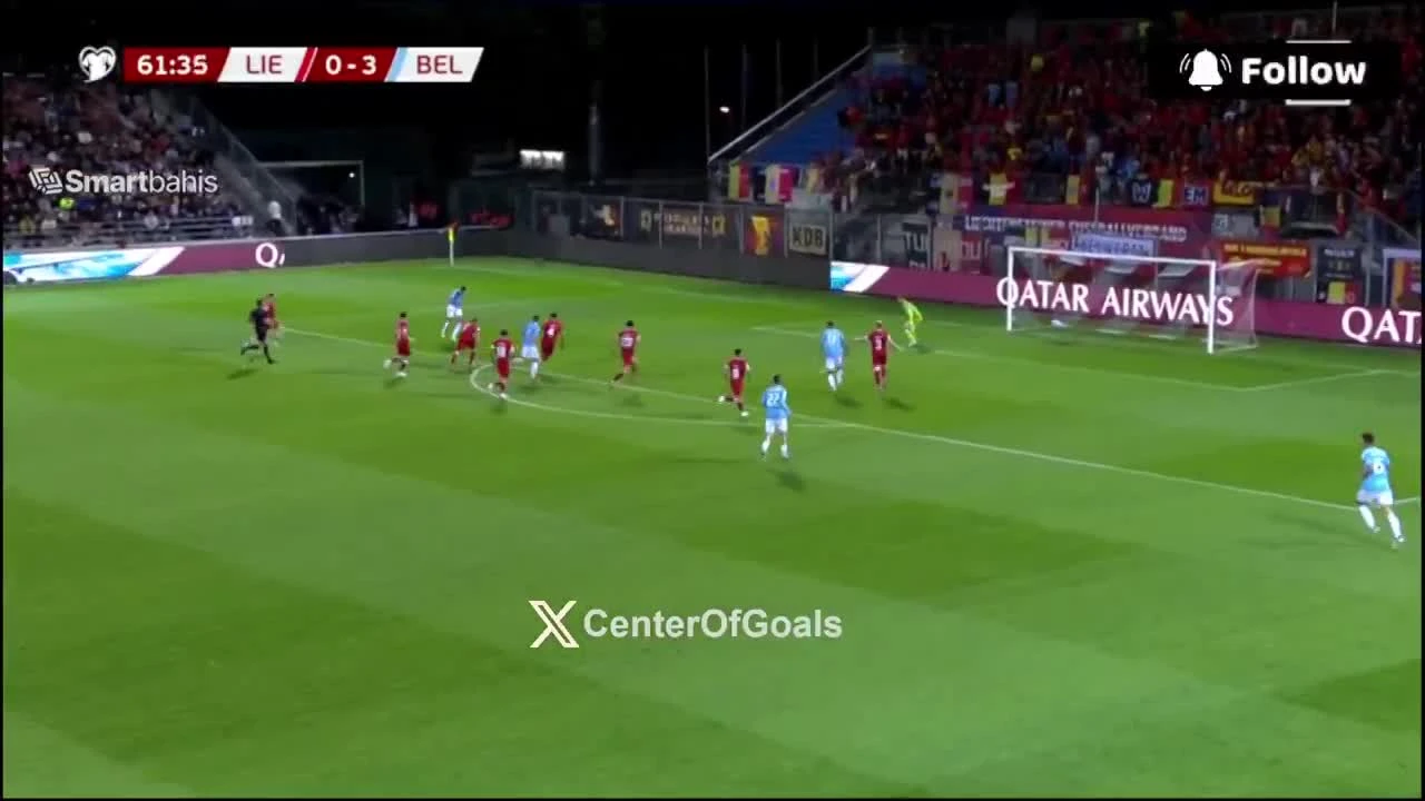 zaslepka skrotu video