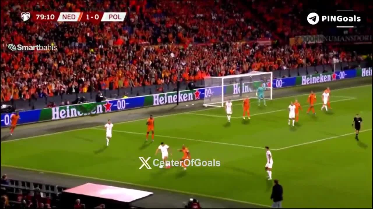 zaslepka skrotu video