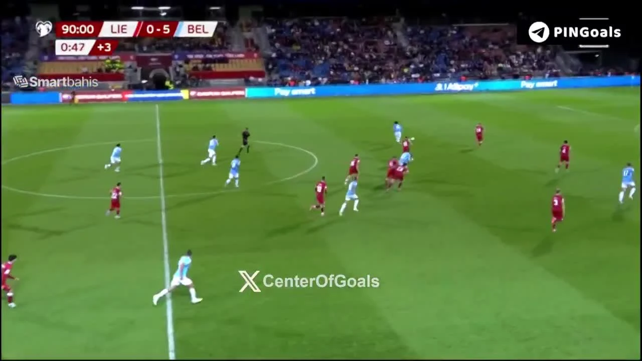 zaslepka skrotu video
