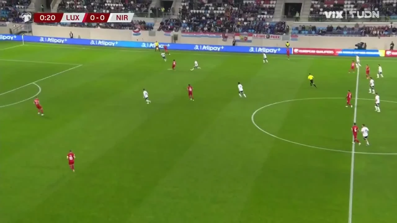 zaslepka skrotu video