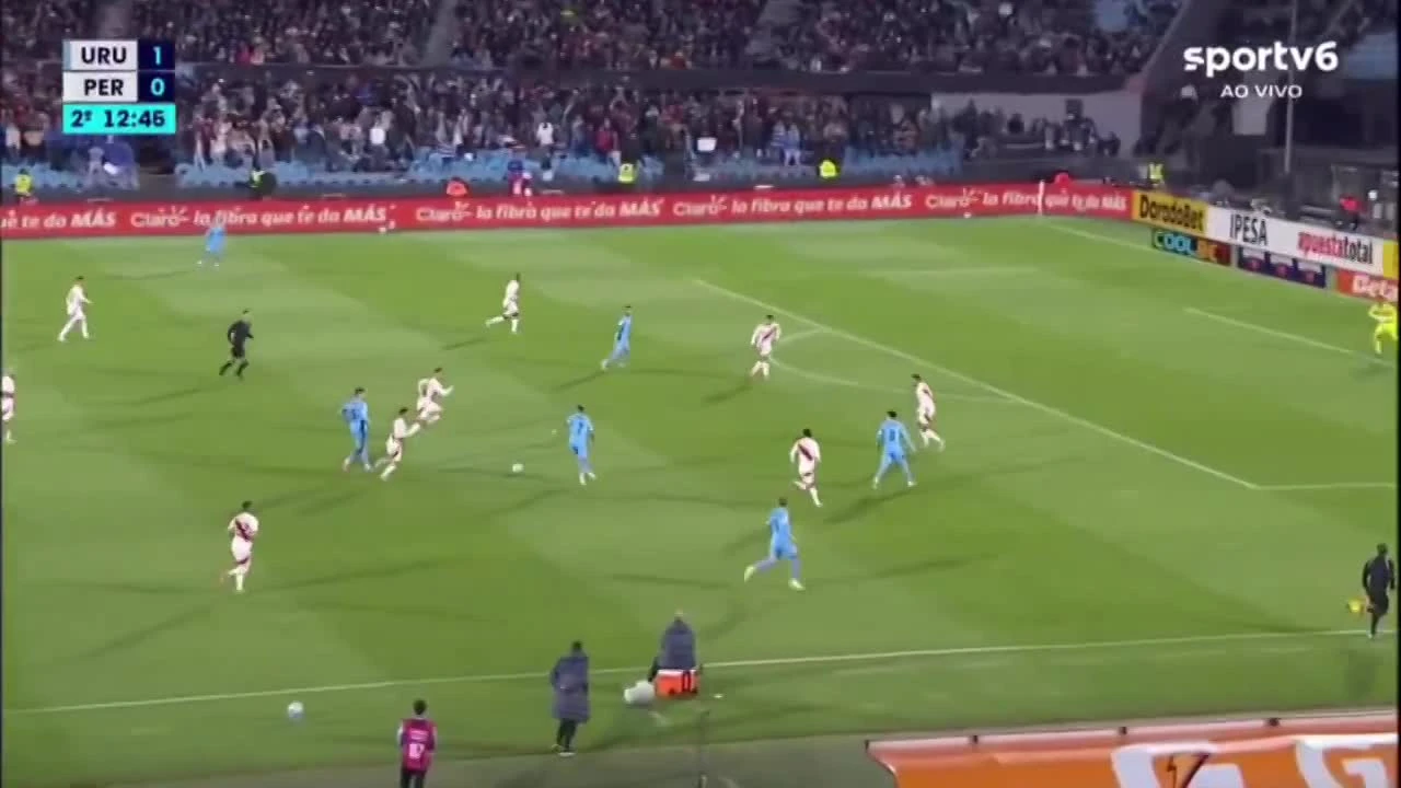 zaslepka skrotu video