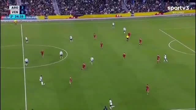 zaslepka skrotu video