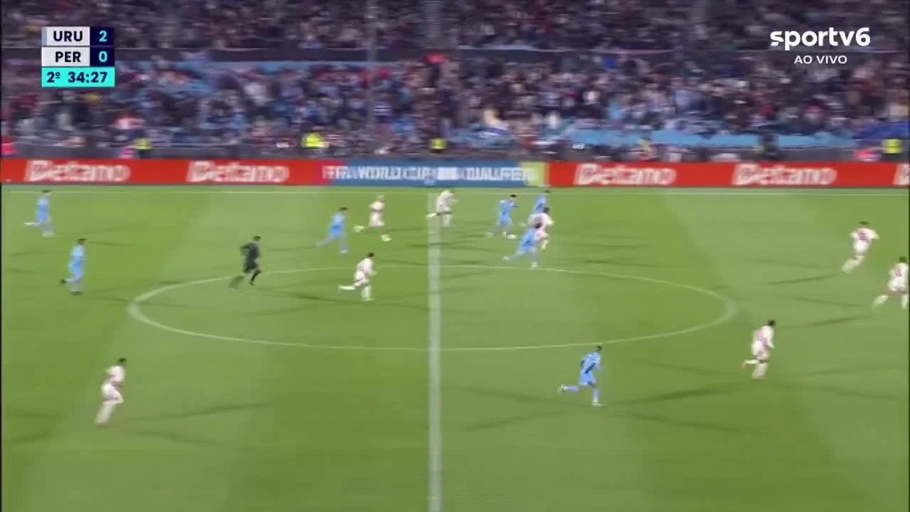 zaslepka skrotu video