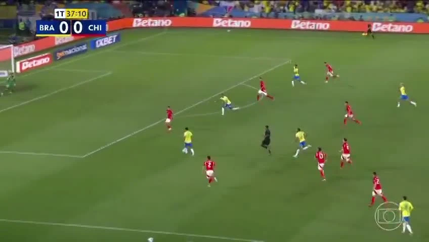 zaslepka skrotu video