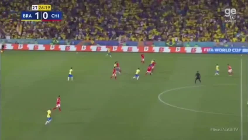 zaslepka skrotu video