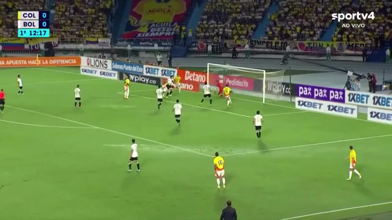zaslepka skrotu video