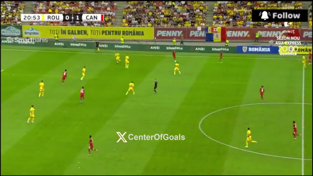 zaslepka skrotu video