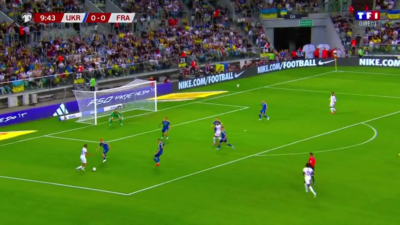 zaslepka skrotu video