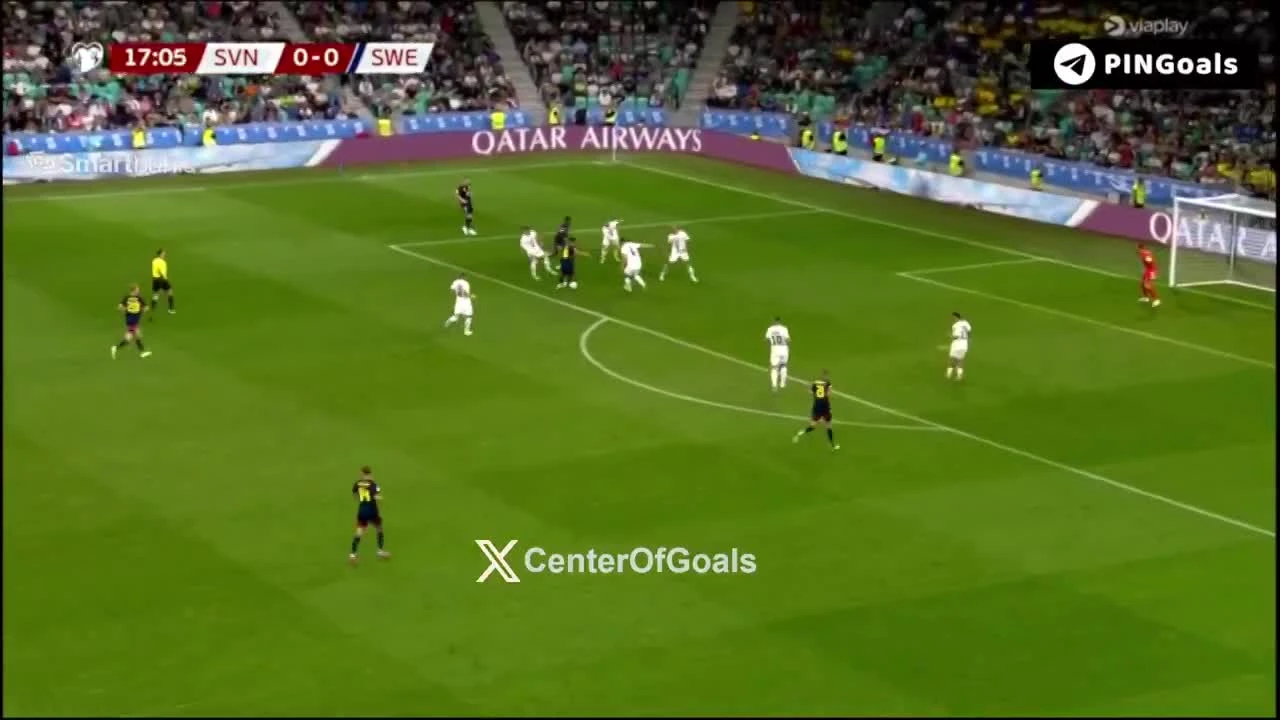 zaslepka skrotu video