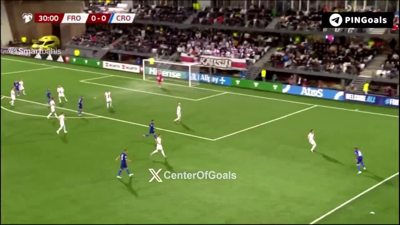 zaslepka skrotu video