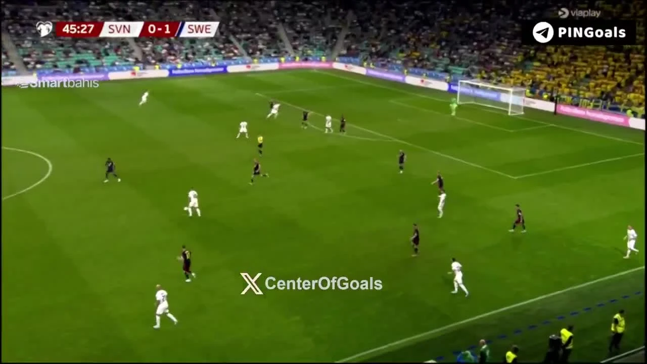zaslepka skrotu video