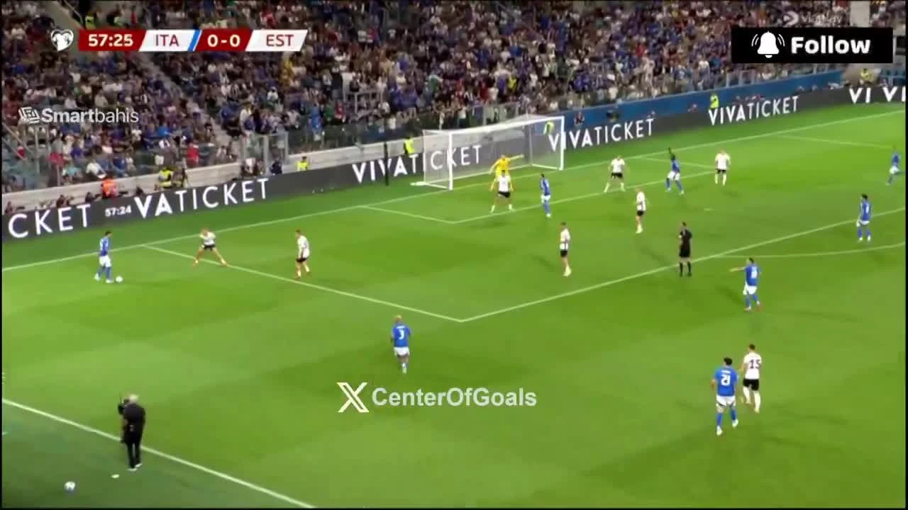 zaslepka skrotu video