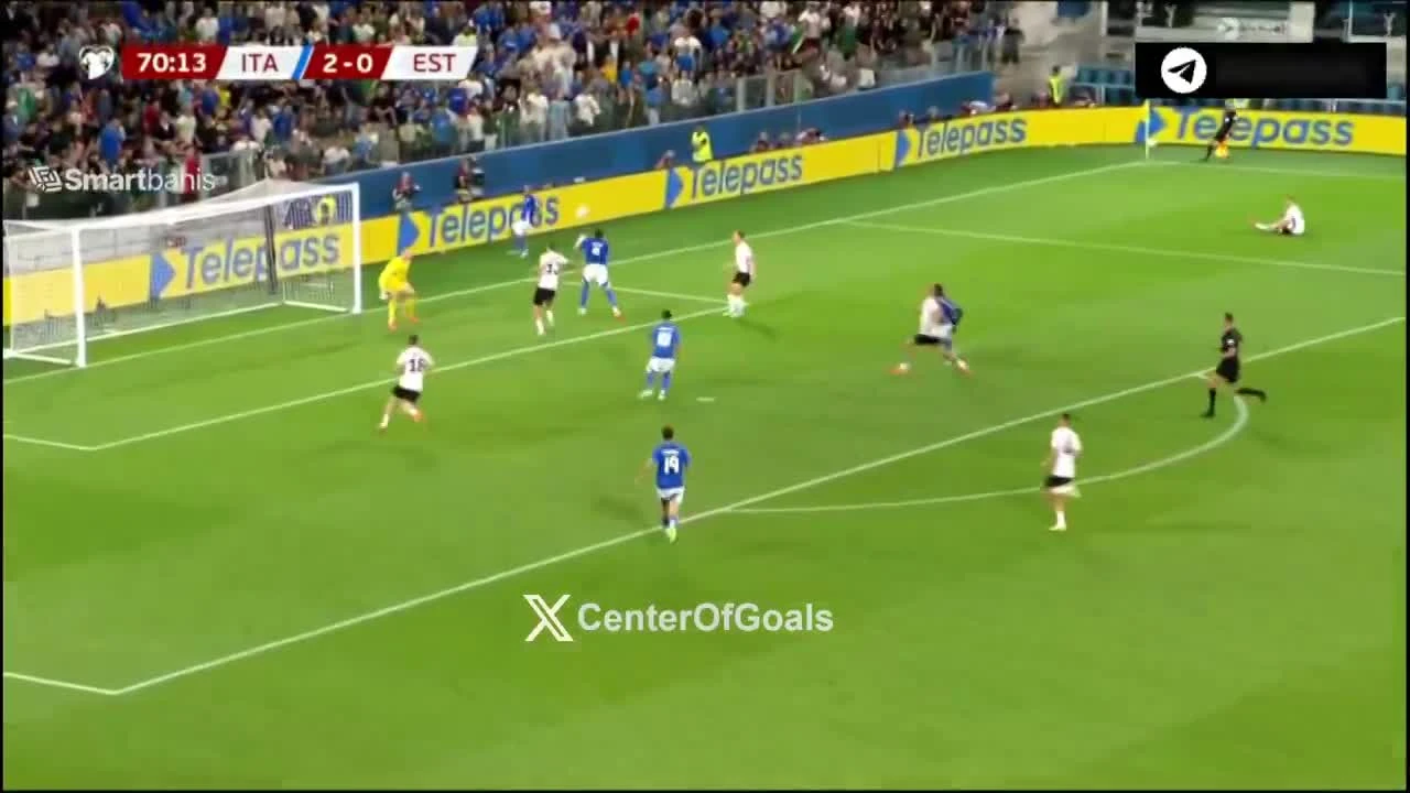 zaslepka skrotu video