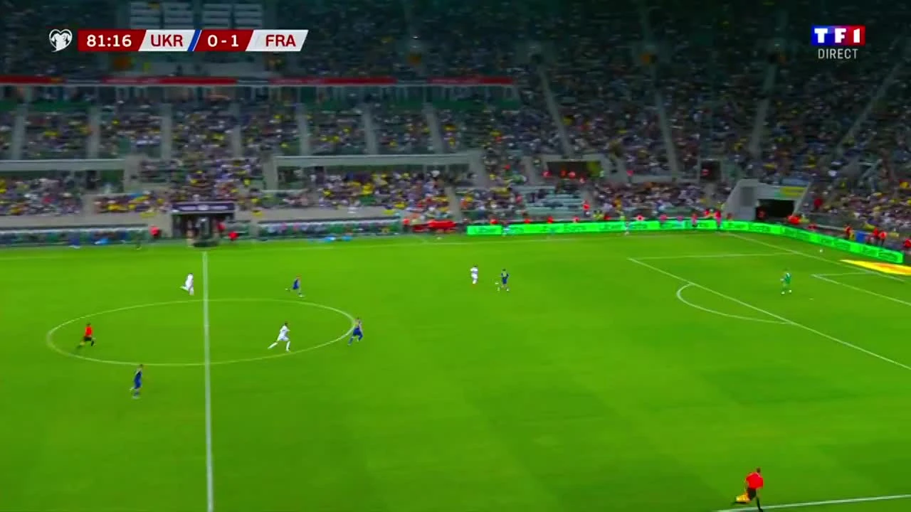 zaslepka skrotu video