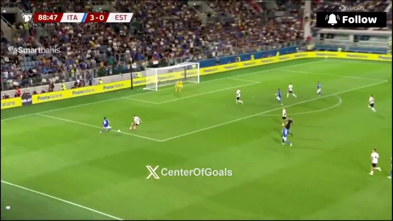 zaslepka skrotu video