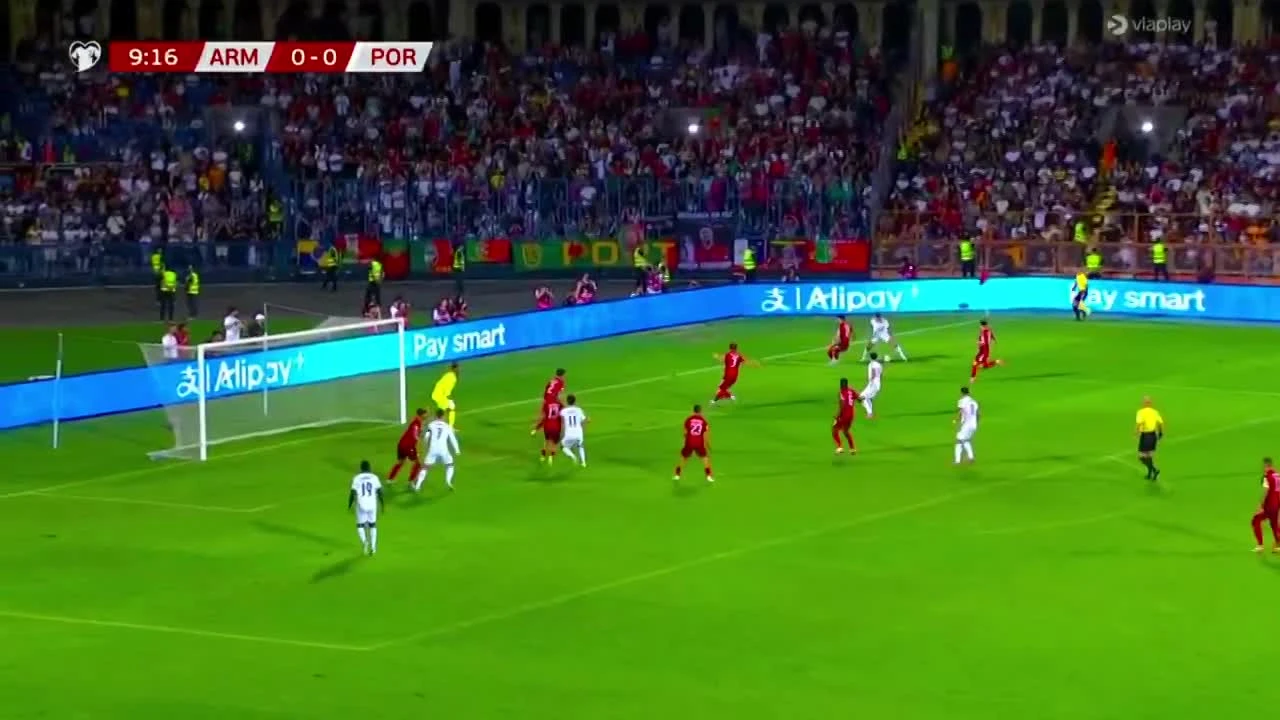 zaslepka skrotu video