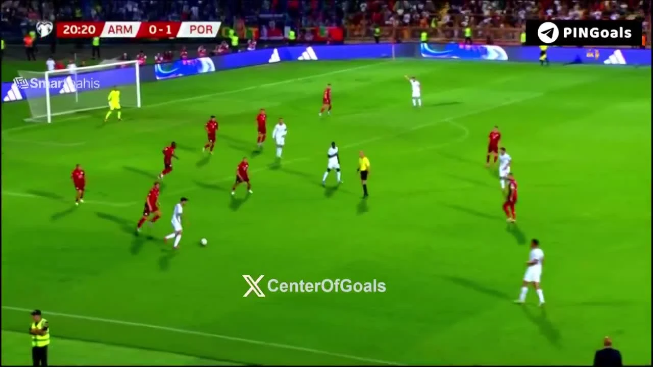 zaslepka skrotu video