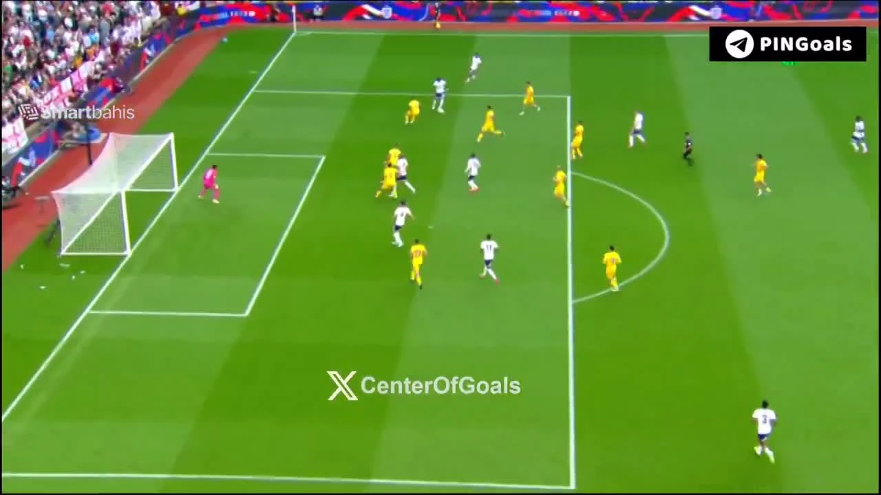 zaslepka skrotu video