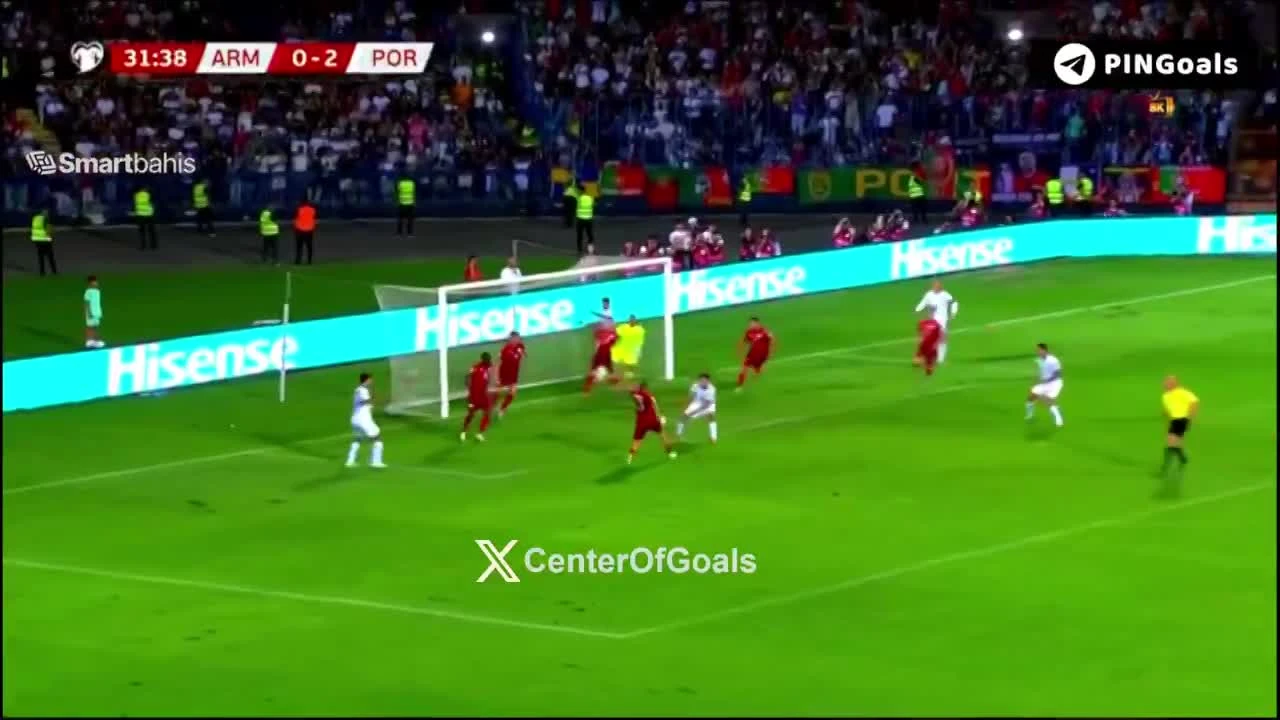 zaslepka skrotu video